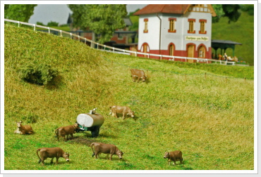 Bereich der Nebenstrecke